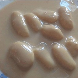 Matri bhandar Roshmalai